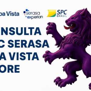 Consulta Situação SPC/Serasa